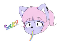 Candy (liz furry)