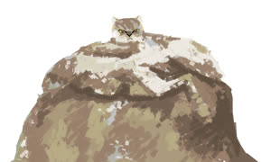 Le fad cade (image cat fat ms_paint)