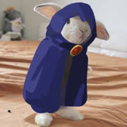 Bune raven irl (image cute bunny raven bune_raven bune sketchbook)