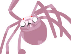 Caguaii spider (image cute spider kumoko sketchbook)