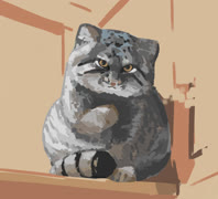 Manulus fren (manul sketchbook study cute)