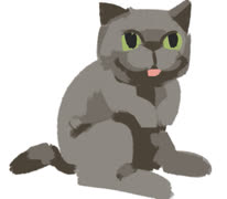 Funny cat (funny cat animal sketchbook)