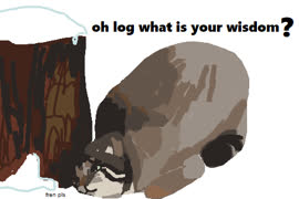 Log listener (cat pallas manul ms_paint study meme)
