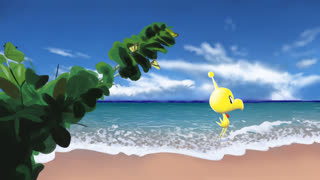sammy n da beachhhhhh (beach sammy)