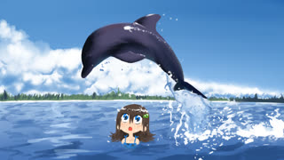 Dolphin (lilyhops dolphin)